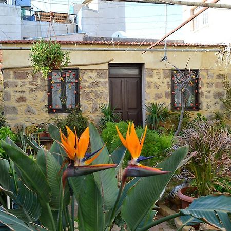 Mystery Garden Guest House Famagusta  Luaran gambar