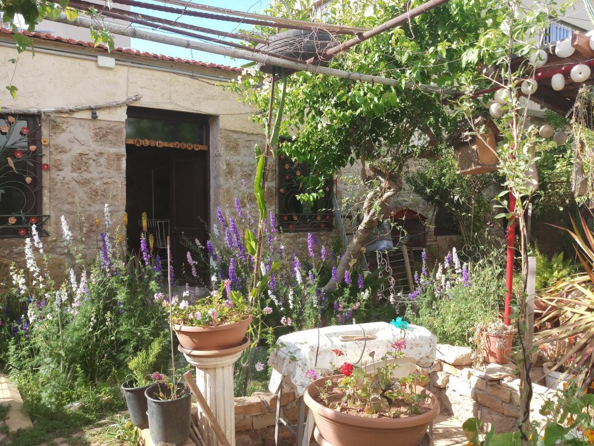 Mystery Garden Guest House Famagusta  Luaran gambar