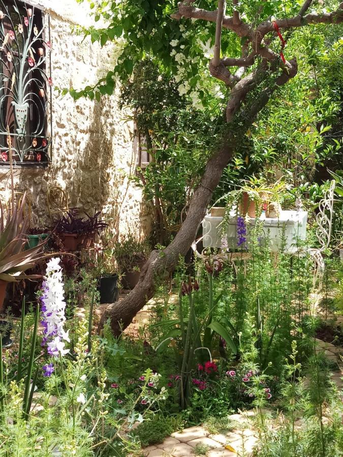 Mystery Garden Guest House Famagusta  Luaran gambar