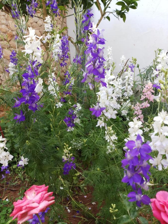 Mystery Garden Guest House Famagusta  Luaran gambar