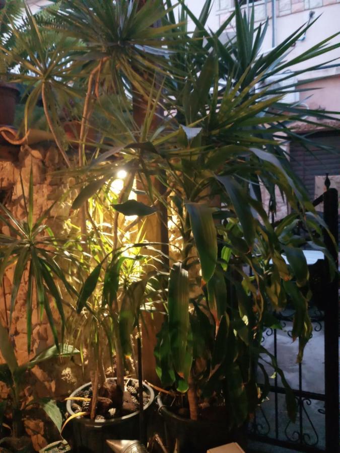Mystery Garden Guest House Famagusta  Luaran gambar