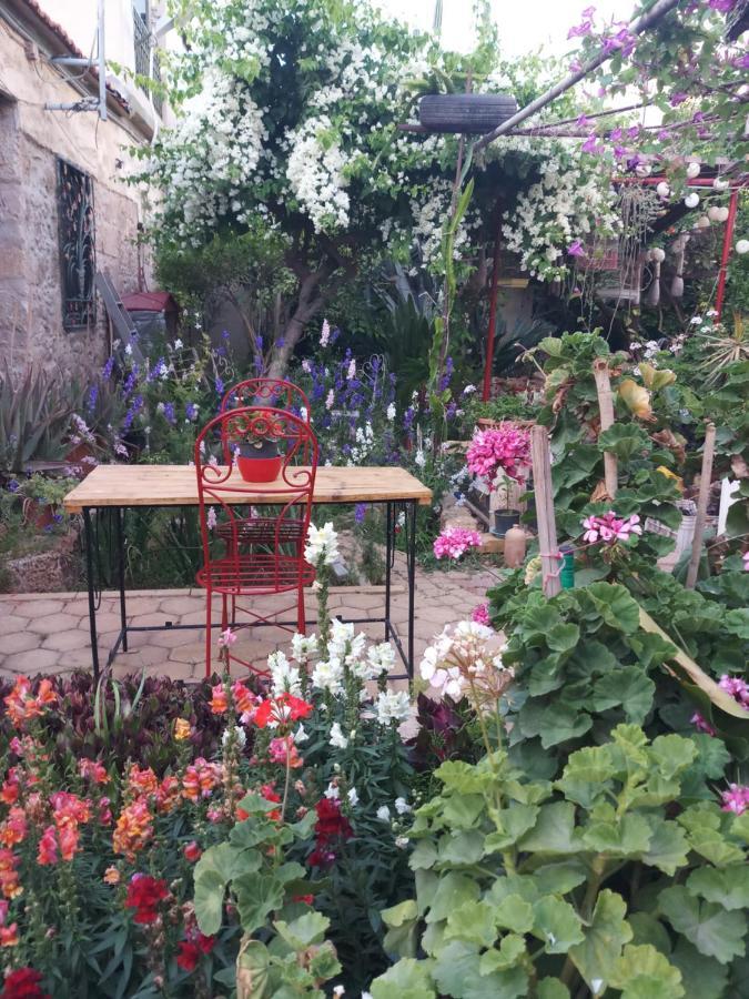 Mystery Garden Guest House Famagusta  Luaran gambar