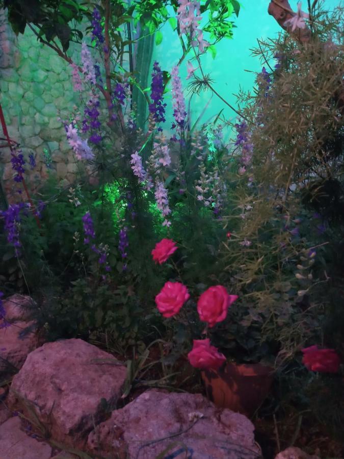 Mystery Garden Guest House Famagusta  Luaran gambar