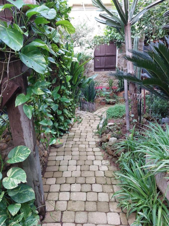 Mystery Garden Guest House Famagusta  Luaran gambar