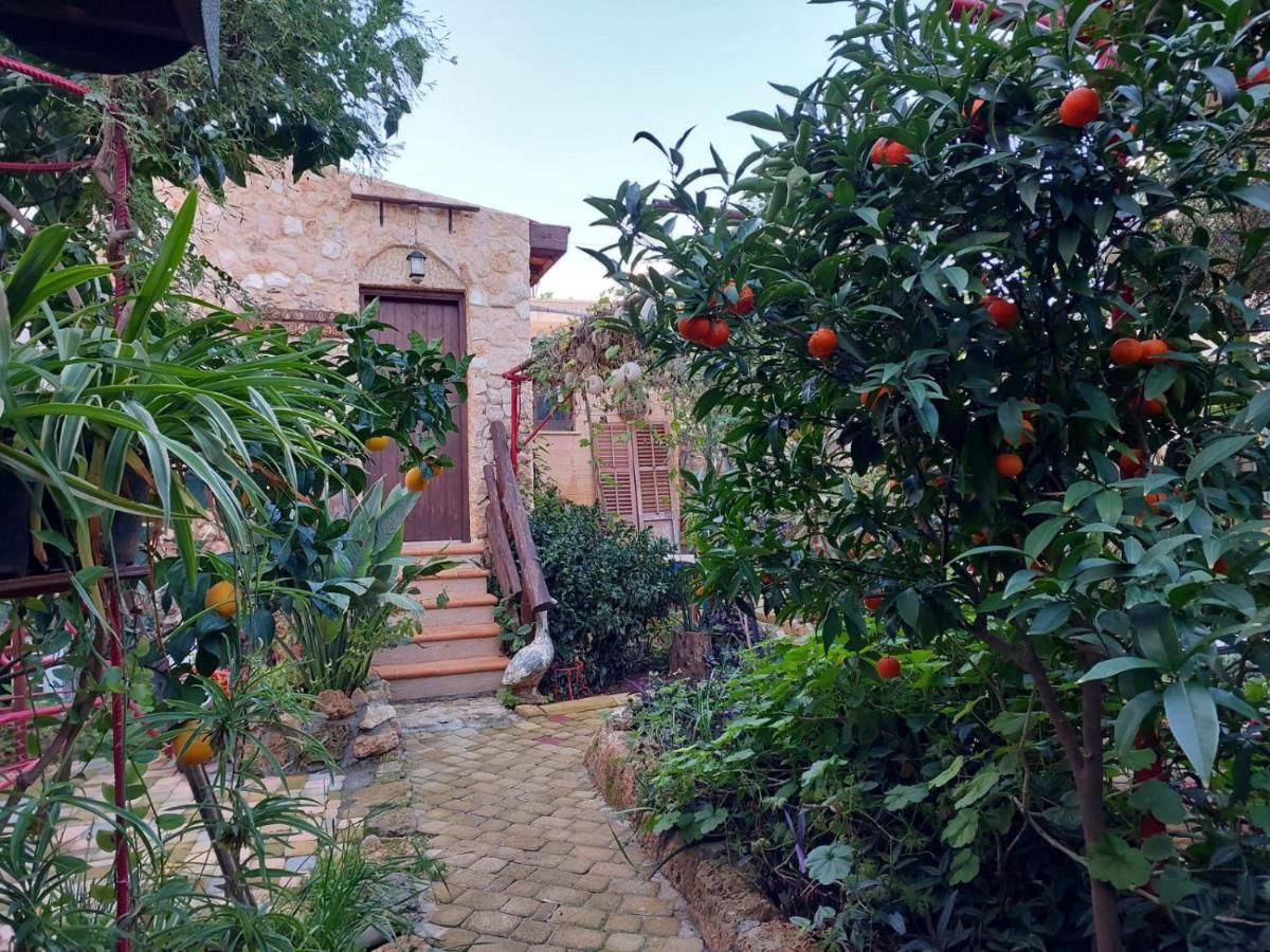 Mystery Garden Guest House Famagusta  Luaran gambar