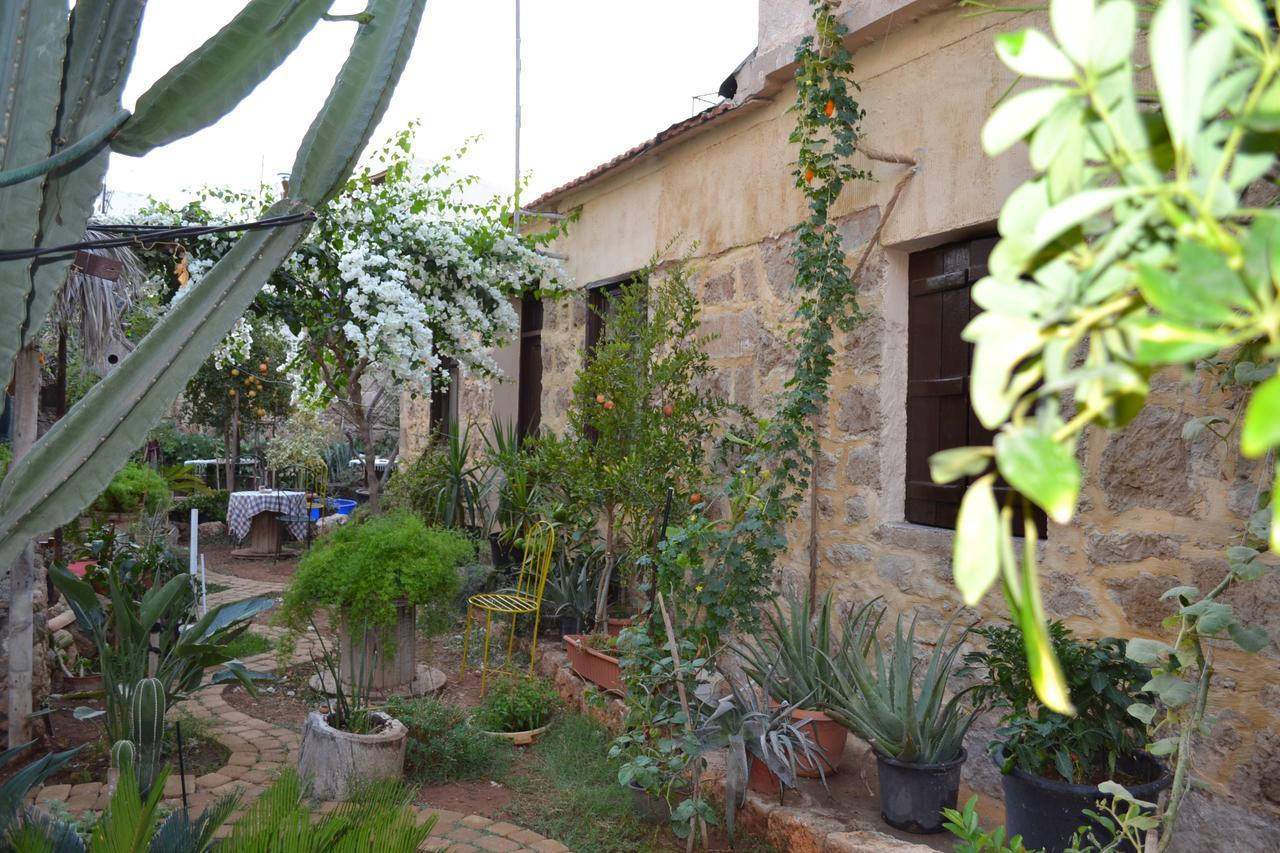 Mystery Garden Guest House Famagusta  Luaran gambar