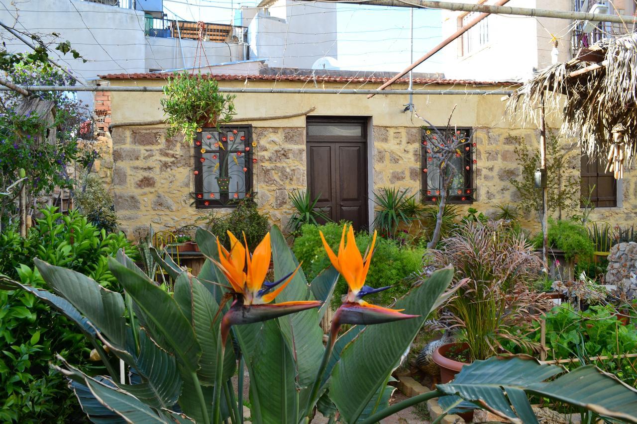 Mystery Garden Guest House Famagusta  Luaran gambar