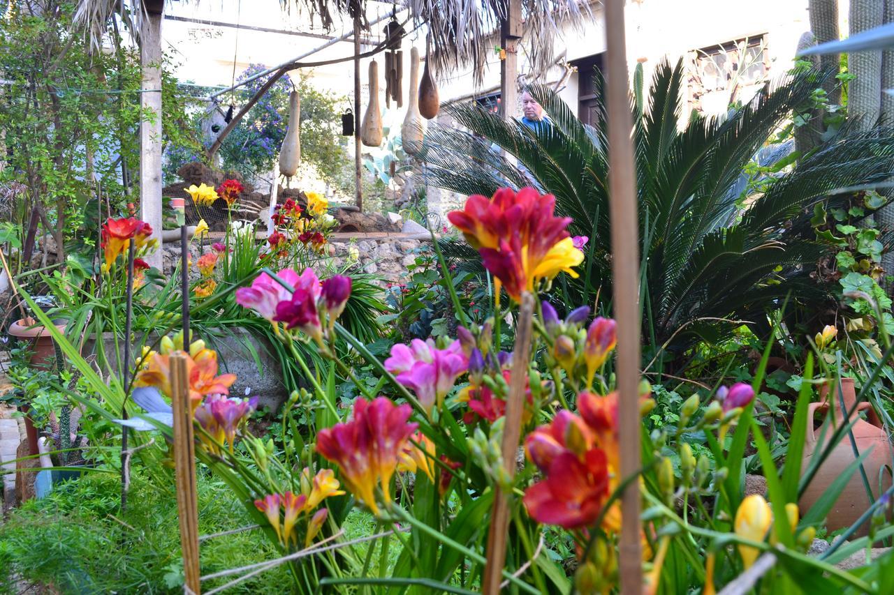 Mystery Garden Guest House Famagusta  Luaran gambar