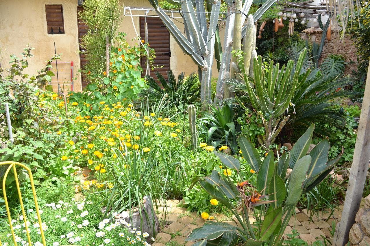 Mystery Garden Guest House Famagusta  Luaran gambar