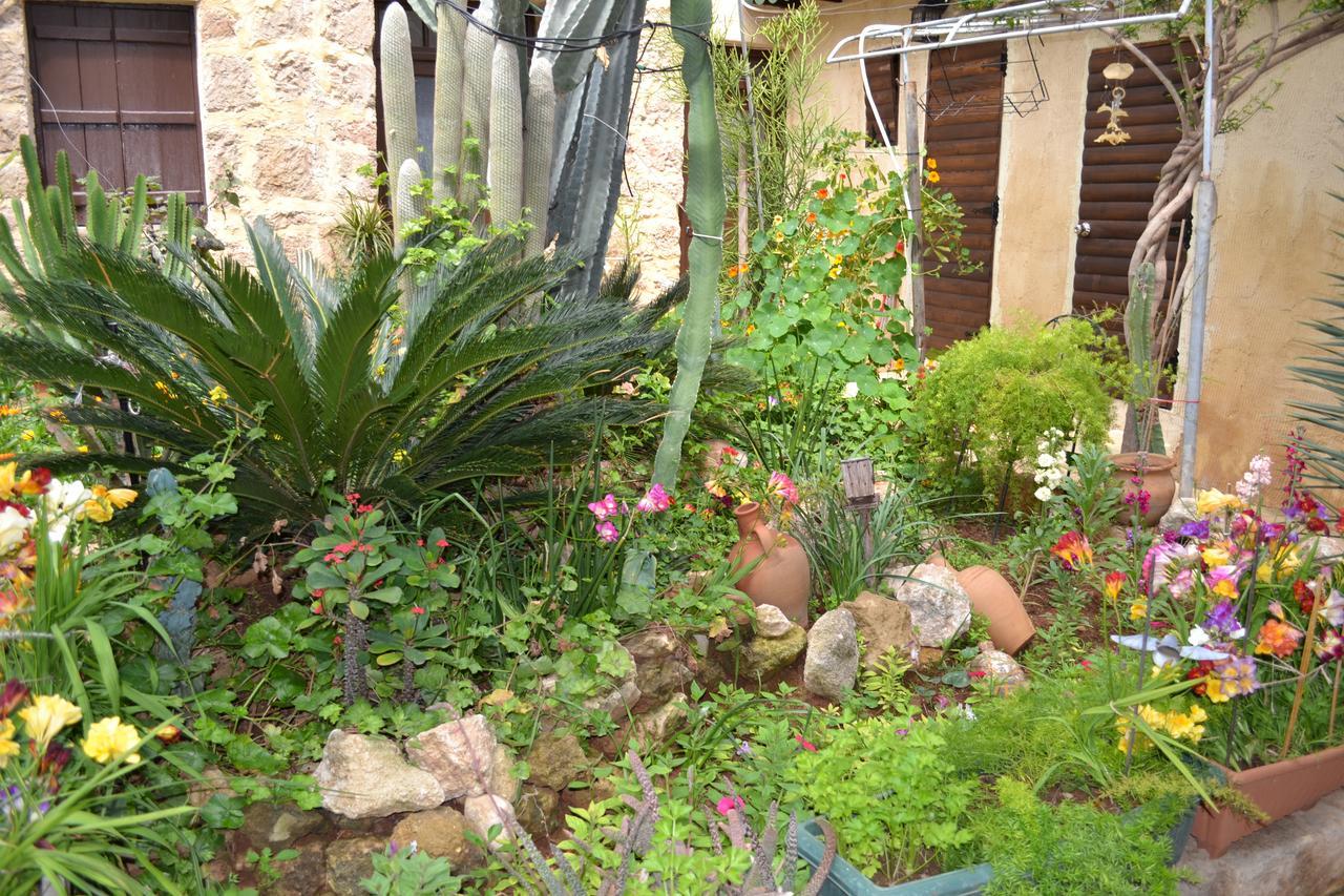 Mystery Garden Guest House Famagusta  Luaran gambar