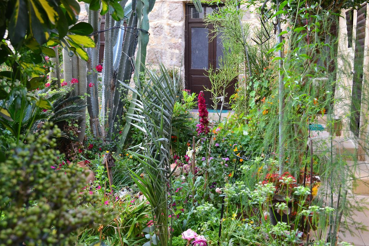 Mystery Garden Guest House Famagusta  Luaran gambar