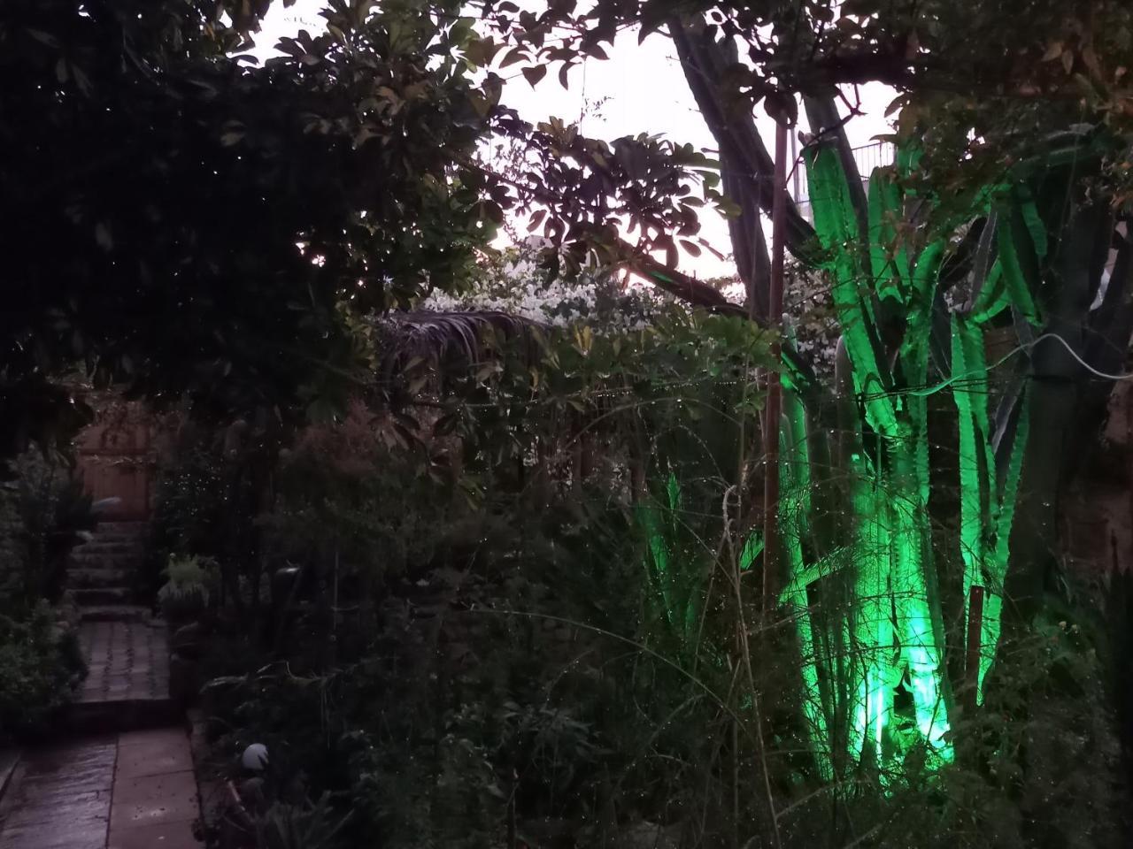 Mystery Garden Guest House Famagusta  Luaran gambar