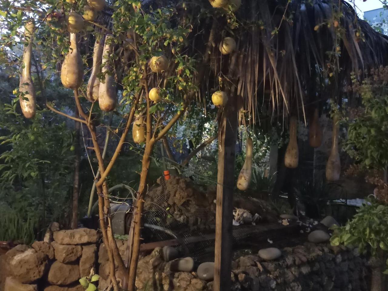 Mystery Garden Guest House Famagusta  Luaran gambar