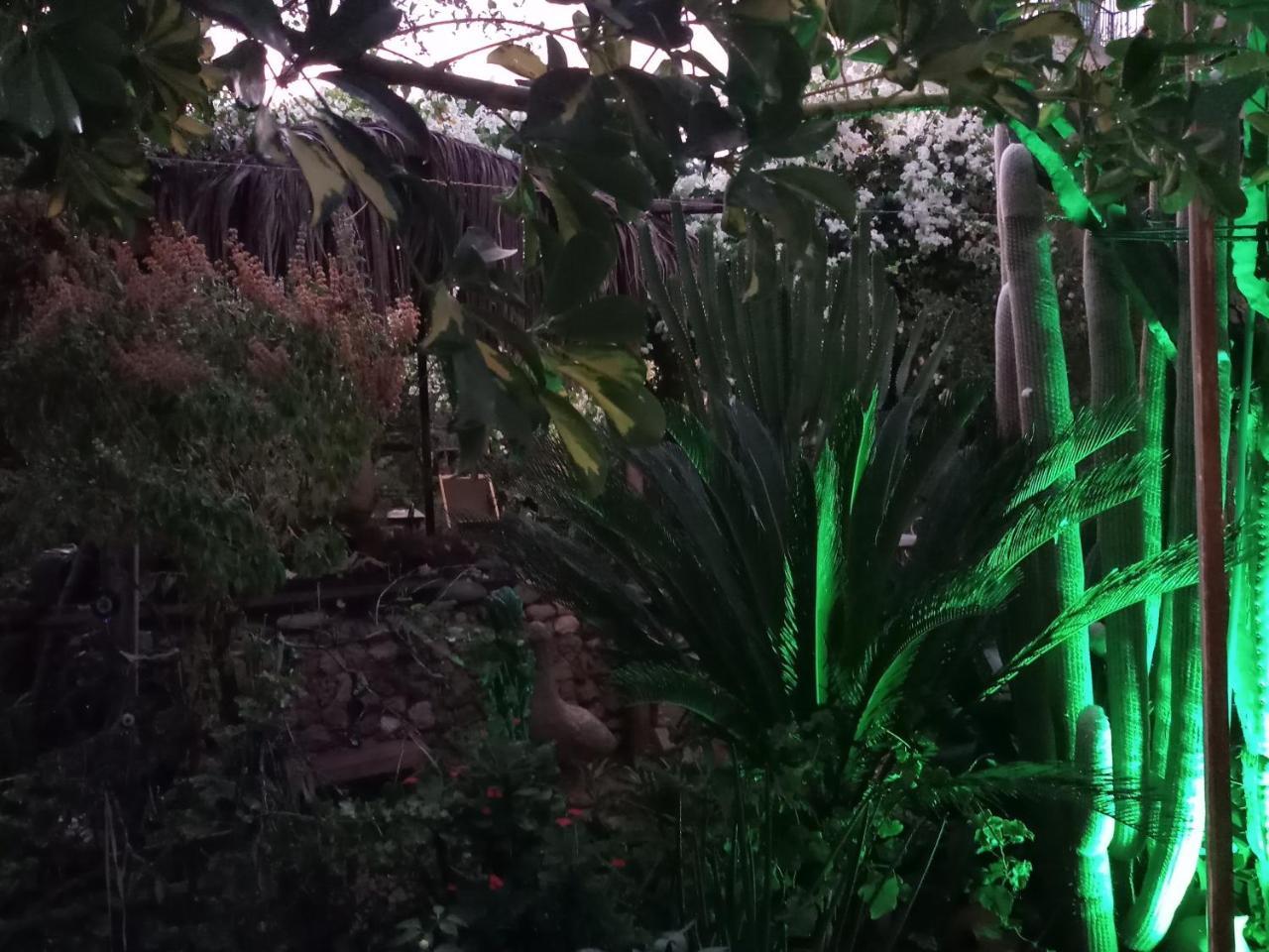 Mystery Garden Guest House Famagusta  Luaran gambar