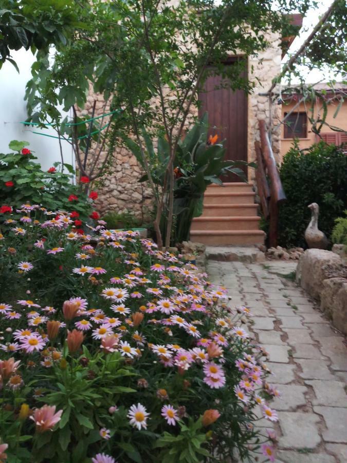 Mystery Garden Guest House Famagusta  Luaran gambar