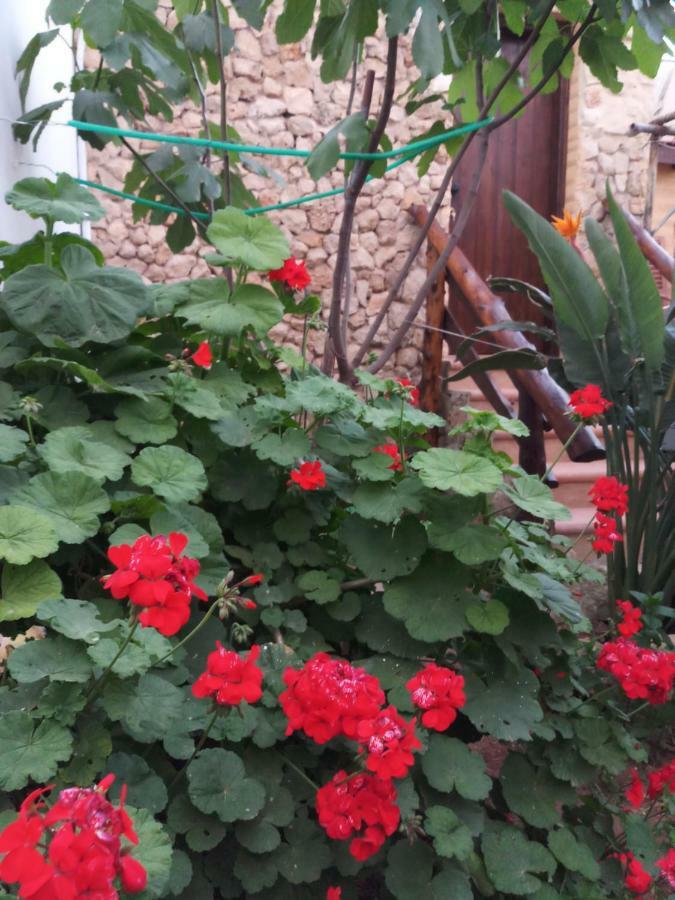 Mystery Garden Guest House Famagusta  Luaran gambar